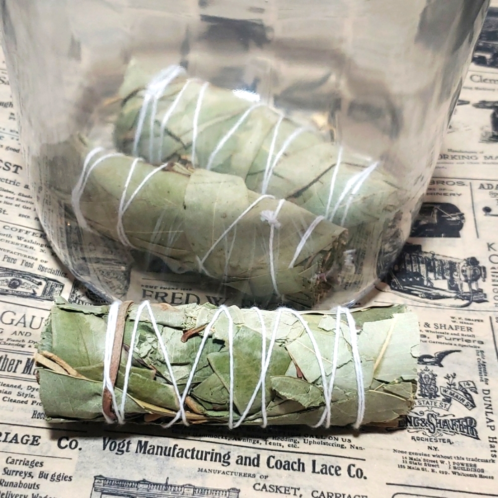 Eucalyptus bundle